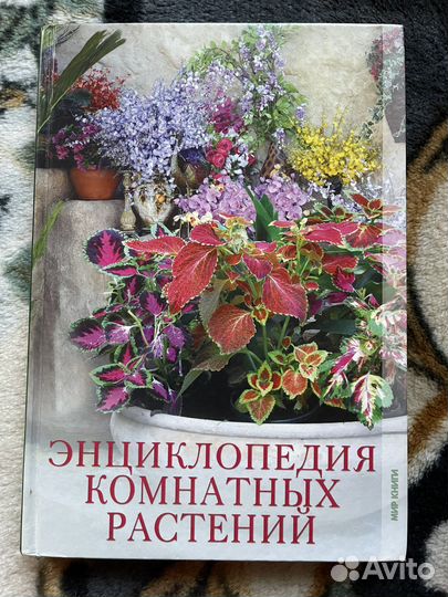 Энциклопедия комнатных растений
