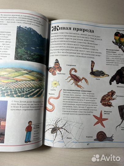 Энциклопедия от а до я (ответит на все вопросы)