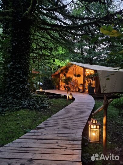 Отдых в окружении леса