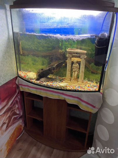 Аквариум