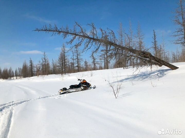 Активный отдых на снегоходах, аренда, прокат