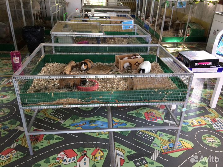 Клетки для животных