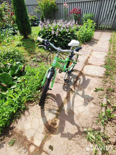 Детский велосипед Giant Liv Enchant 20