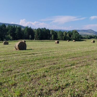 Сено в тюках