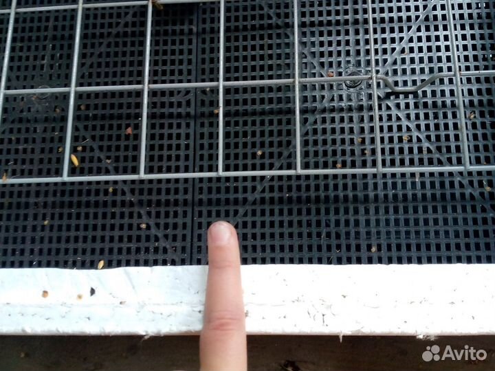 Инкубатор для яиц автоматический бу роботает