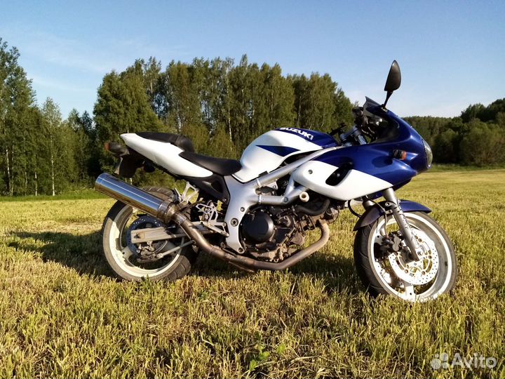Suzuki sv400s