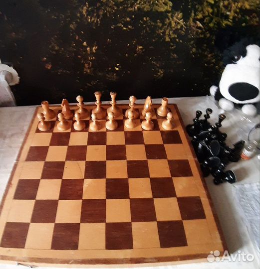 Шахматы СССР 1970 г