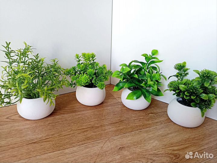 Декоративные цветы и зелень