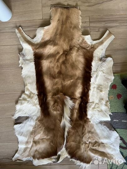 Шкурка животного