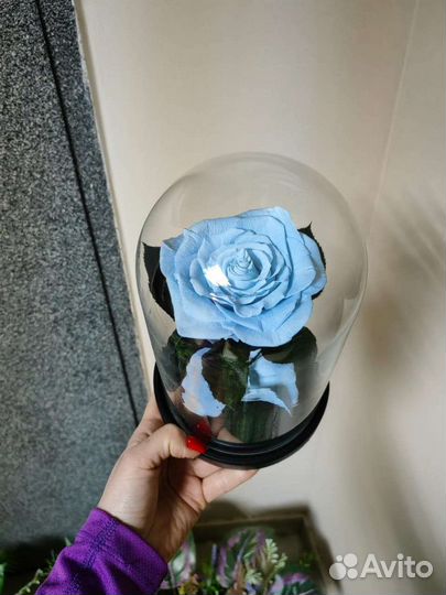 Голубые, синие розы в колбе, вазе, букете, от