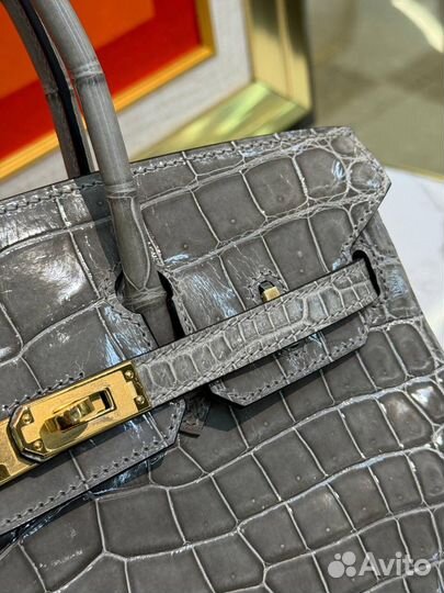 Сумка Hermes Birkin 25 Croco