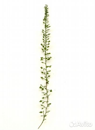 Фототравление MiniWarPaint S-112