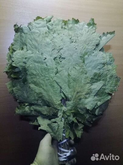 Веники для бани