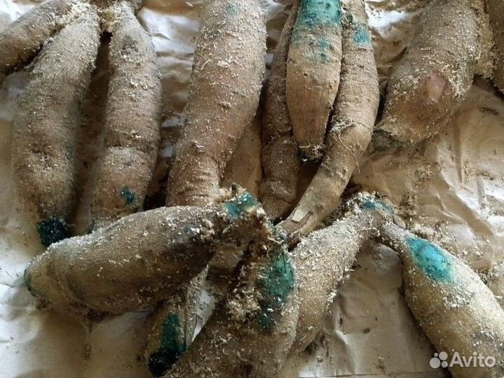 Коряга для декора