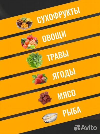 Сушилка Изидри Ezidri FD1000