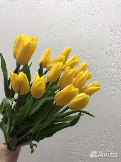 Тюльпаны к 8 марта оптом