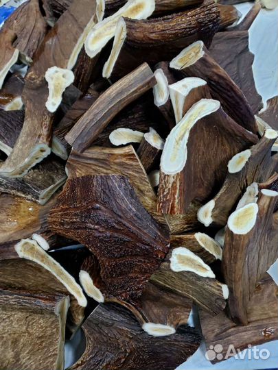 Рога для собак