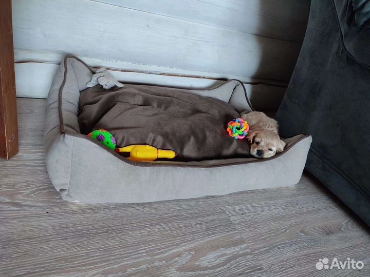 Лежанка для животных отшиваем на заказ