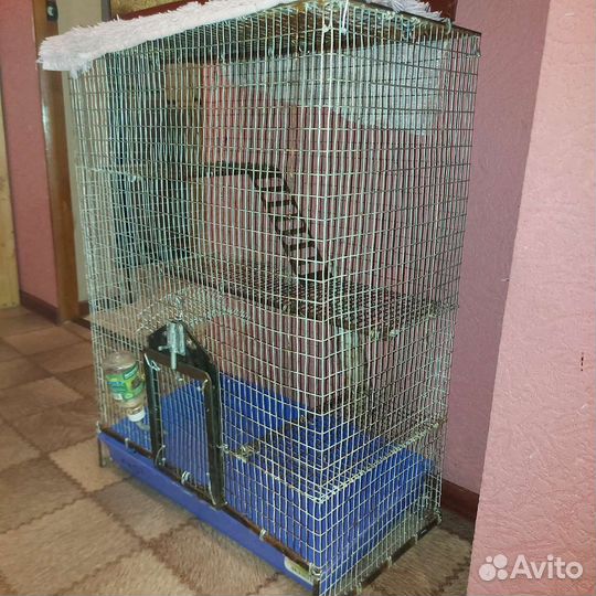 Клетка для грызунов большая
