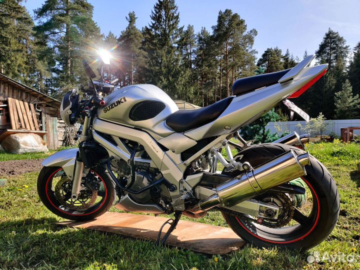 Suzuki sv1000