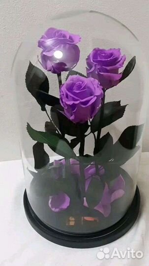 Розы в колбе трио