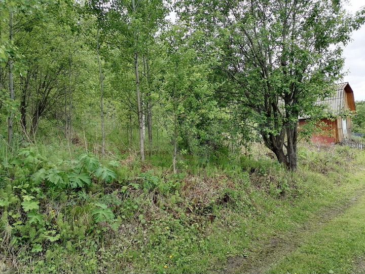 Участок 12 сот. (СНТ, ДНП)