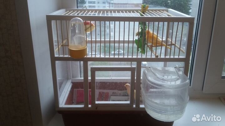 Клетки для птиц