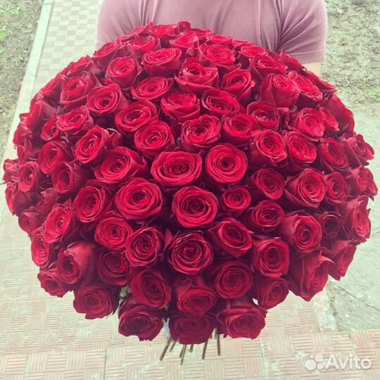 Букет из 93 роз красных Scarlatta