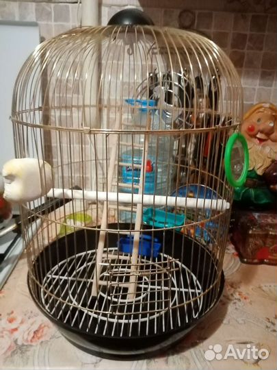 Клетка для попугая