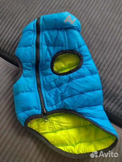 Комбинезон и жилет на чихуа 4 кг