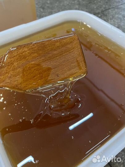 Майский мёд свежий только опт