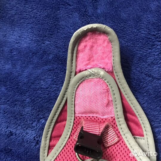 Шлейка для маленькой собаки