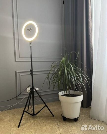 Кольцевая лампа 26см
