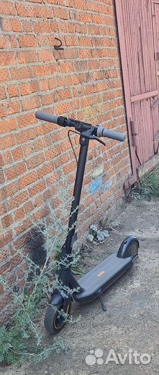 Электросамокат ninebot by segway max g30p