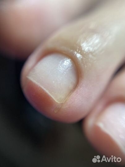 Маникюр педикюр