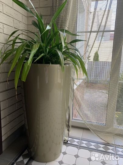 Кашпо напольное с автополивом lechuza