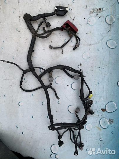 Жгут проводов