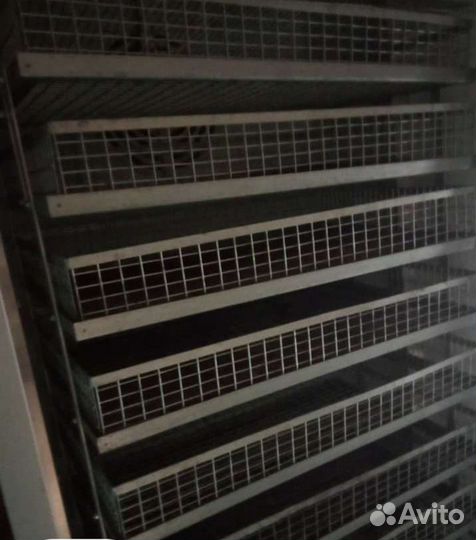 Инкубатор NBF