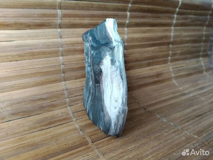 Окаменелое дерево минерал окаменелость