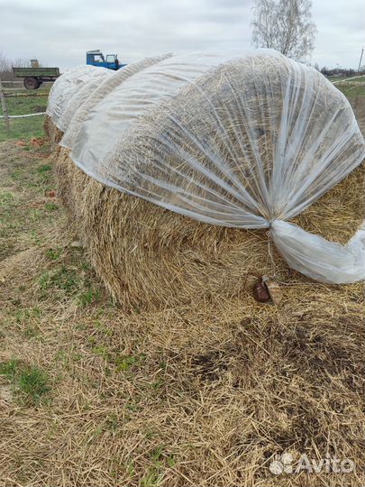 Сено солома в рулонах