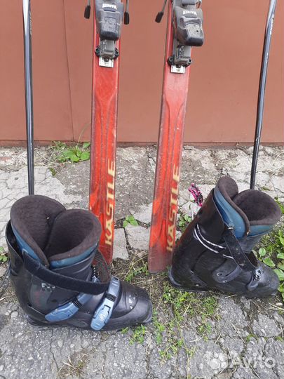 Горные лыжи