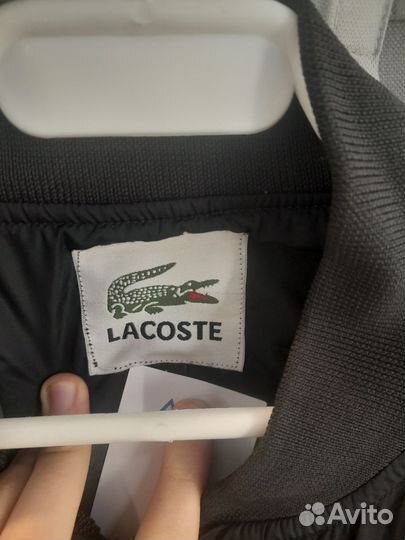 Олимпийка lacoste