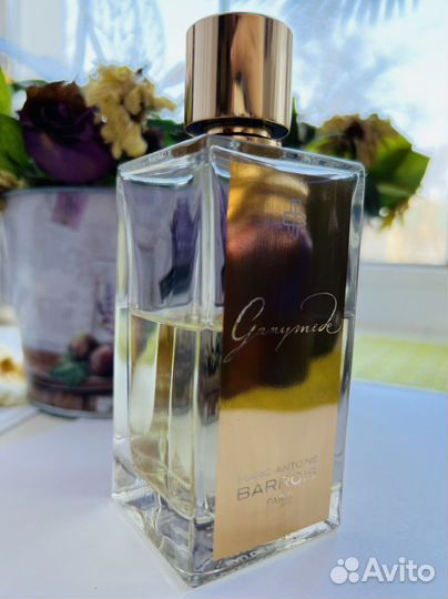 Ganymede Marc Antoine Barrois делюсь