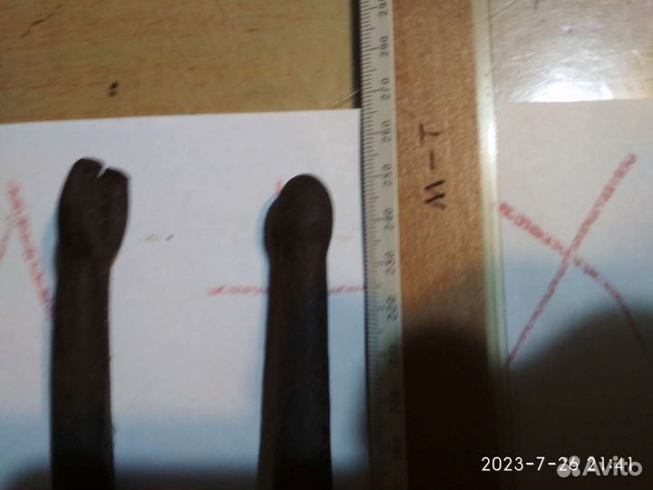 Клещи СССР. новые