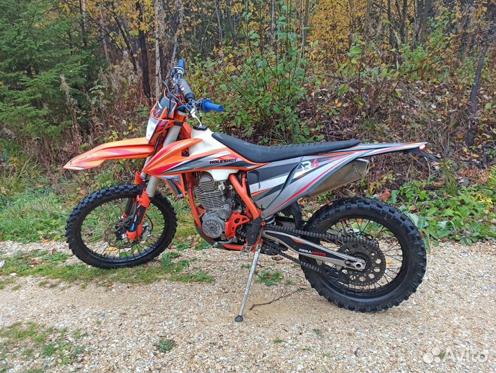 Regulmoto holeshot 300