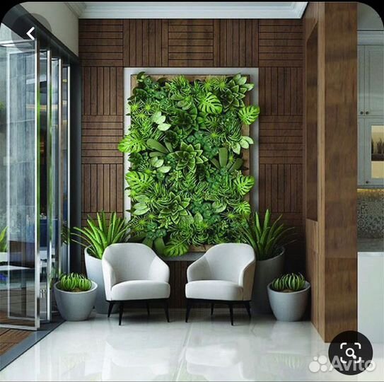 Озеленение; Фитостена; Фитомодули