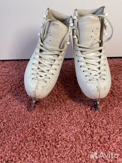 Коньки edea Chorus, 210 размер