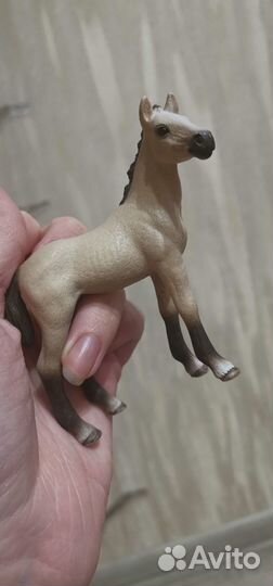 Ахалтекинцы Schleich, Шляйх семья