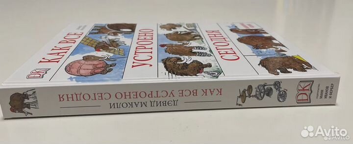 Как все устроено сегодня Маколи