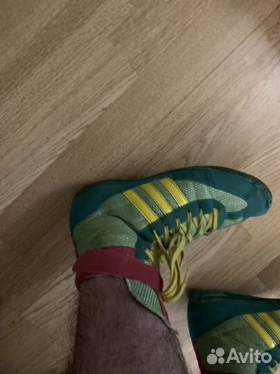 Борцовки попугайчики